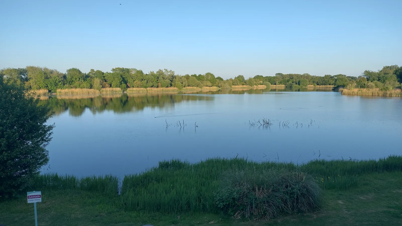 Personal photograph of a tranquil lake bordered by trees and reeds